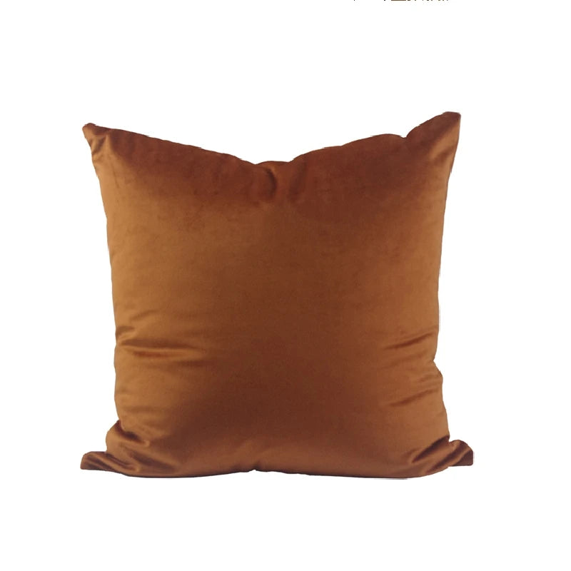 Velvet Decorative Throw Pillow Cover, Square, Removable Washable
