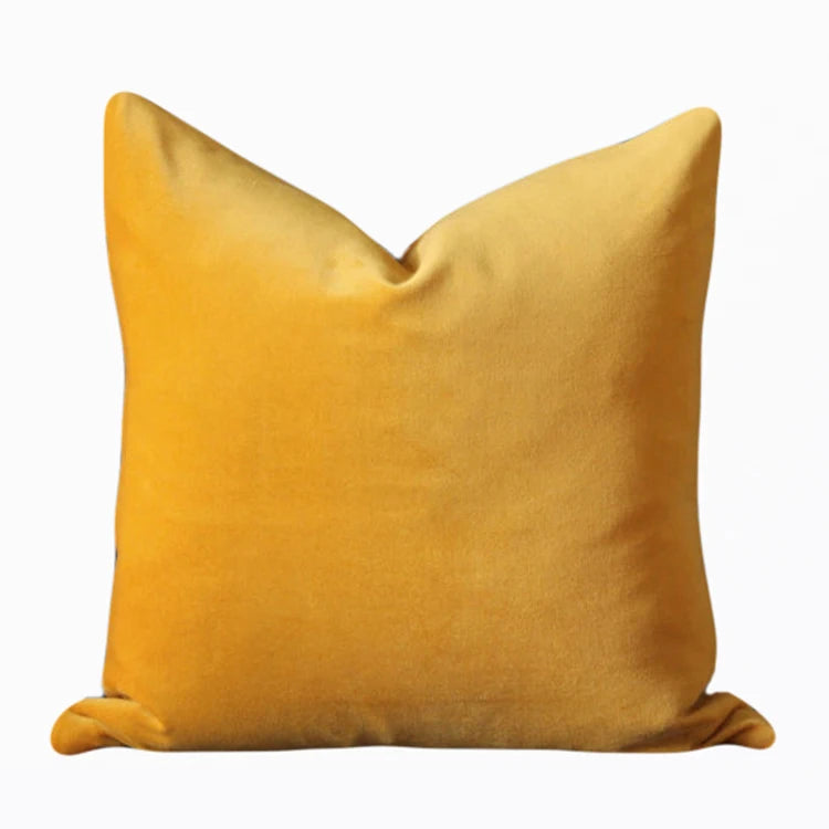 Velvet Decorative Throw Pillow Cover, Square, Removable Washable